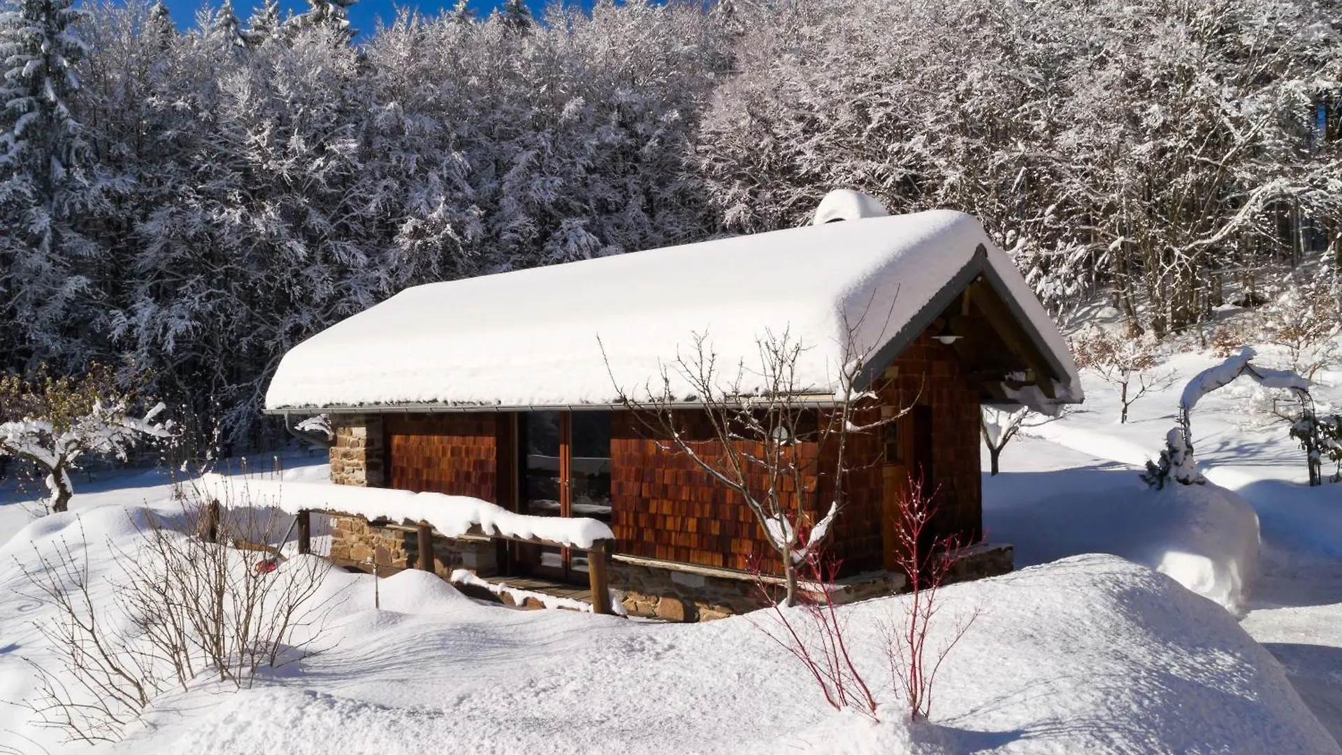 Private Wohnung Mit Balkon Aussicht Auf Den Wald シュピーゲラウ ドイツ